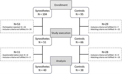 Investigation of the relationship between neuroplasticity and grapheme-color synesthesia